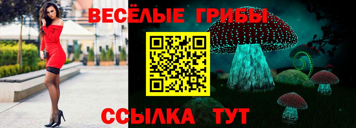 Галлюциногенные грибы ЛСД  Псилоцибиновые грибы ЛСД  Фрязино  Вход с VPN 