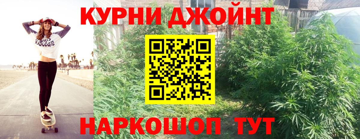 Марихуана марихуана  Шишки марихуана тримм  Конопля SATIVA & INDICA  Фрязино  Вход с VPN 
